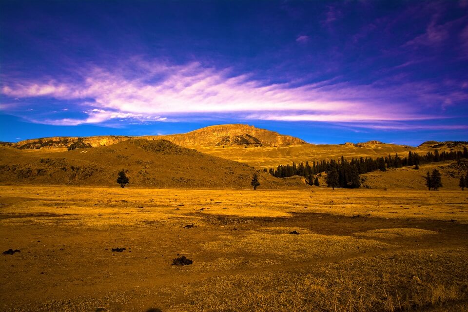 Freedmans Ranch in Crede, CO